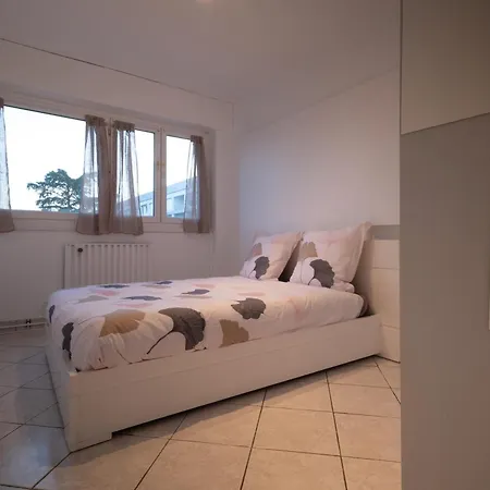 Arena/ Groupama Stadium/ Eurexpo Apartment